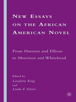 cover image of New Essays on the African American Novel